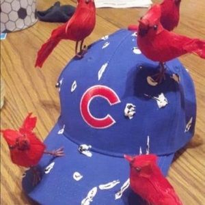 Meet your Posher, Anne